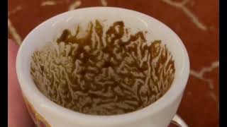 Aries Your Comeback Story Starts Now Coffee Cup Reading