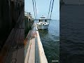 【マイボート】Merry fisher795sport Silver Zero号ひさびさの出航🛥
