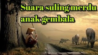 suling Sunda pengantar tidur/sleeping music