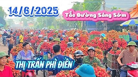 Chợ Vải Thiều Tắc Đường Bà Con Bán Vải Vất Vả l Núi Đồi Lục Ngạn
