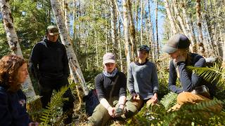 Over 1,000 cedar trees planted on land you helped protect