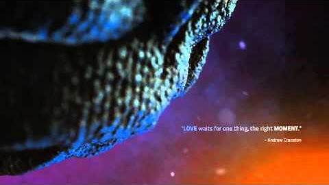 Burning Love | VideoHive Templates | After Effects Project Files