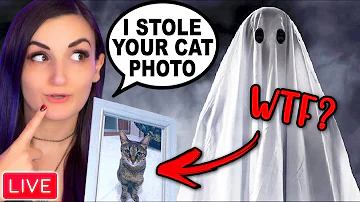 Stealing Cat Photos From GHOSTS w/ Gloom & ShowThyme (New Update)