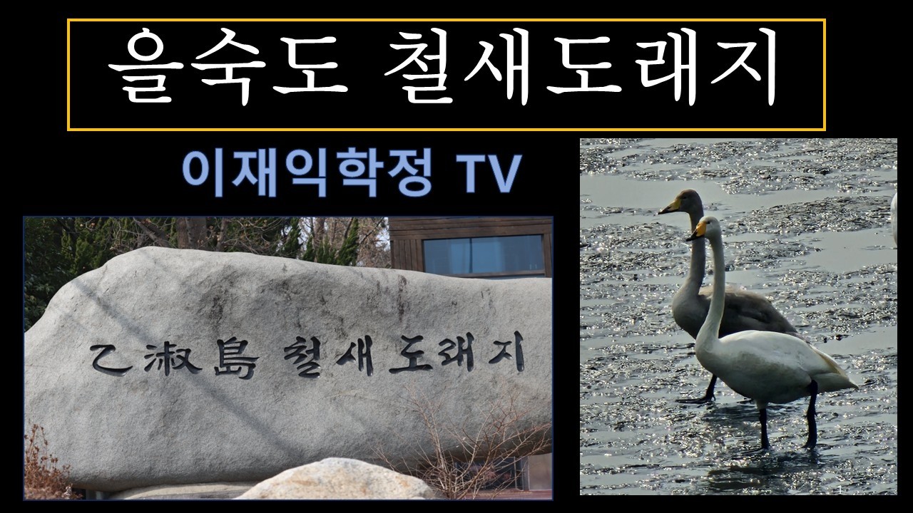 을숙도철새도래지
