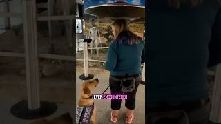 Service dog 🤝 Aliens?! 👽