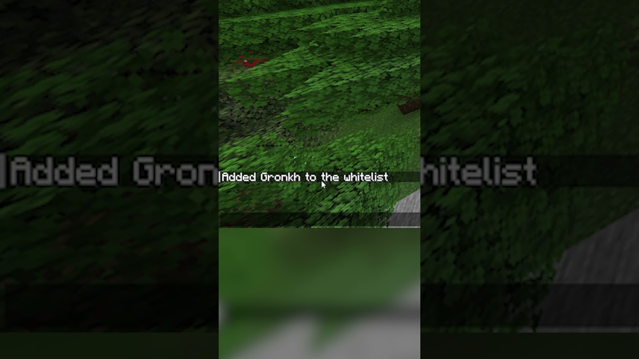 Whitelist auf einem Minecraft Server aktivieren