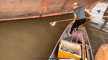 Đi test máy kích cá màu trắng thực tế một vợt bắt rô phi siêu nổi.0985802199