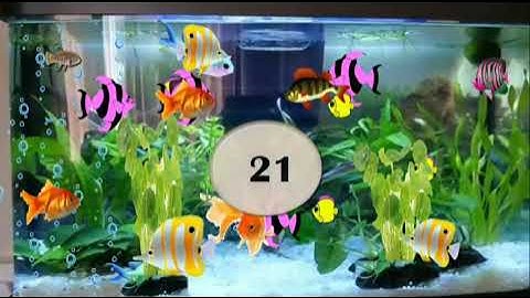 Class 1 | Maths - Unit 4 Information Processing | 4.1 Systematic Listing | 4.2Organising Information