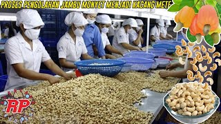 PANJANGNYA PROSES PENGOLAHAN KACANG METE | PROSES MENGUBAH KACANG BERACUN MENJADI MAKANAN MAHAL