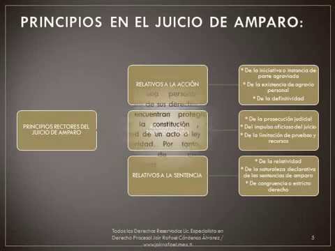 PRINCIPIOS RECTORES DEL JUICIO DE AMPARO - YouTube