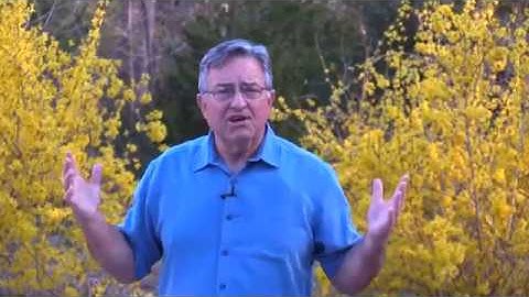 Forging a Disciplined, Patient Mind for Dealing with Uncertainty of Trading