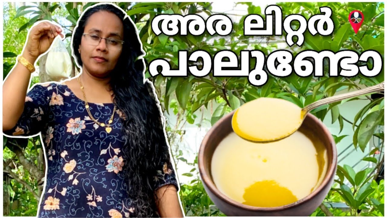 നിമിഷ നേരം കൊണ്ട് ബട്ടറും നെയ്യും റെഡി How to make butter and ghee