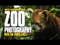 Zoo Photography with a Bridge Camera | South Lakes Safari Park