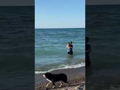 Video: Strande i Indiana for hunde