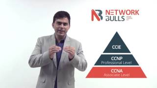 How to become Network Administrator by taking CCNA, CCNP and MCSE Certification Trainings screenshot 2