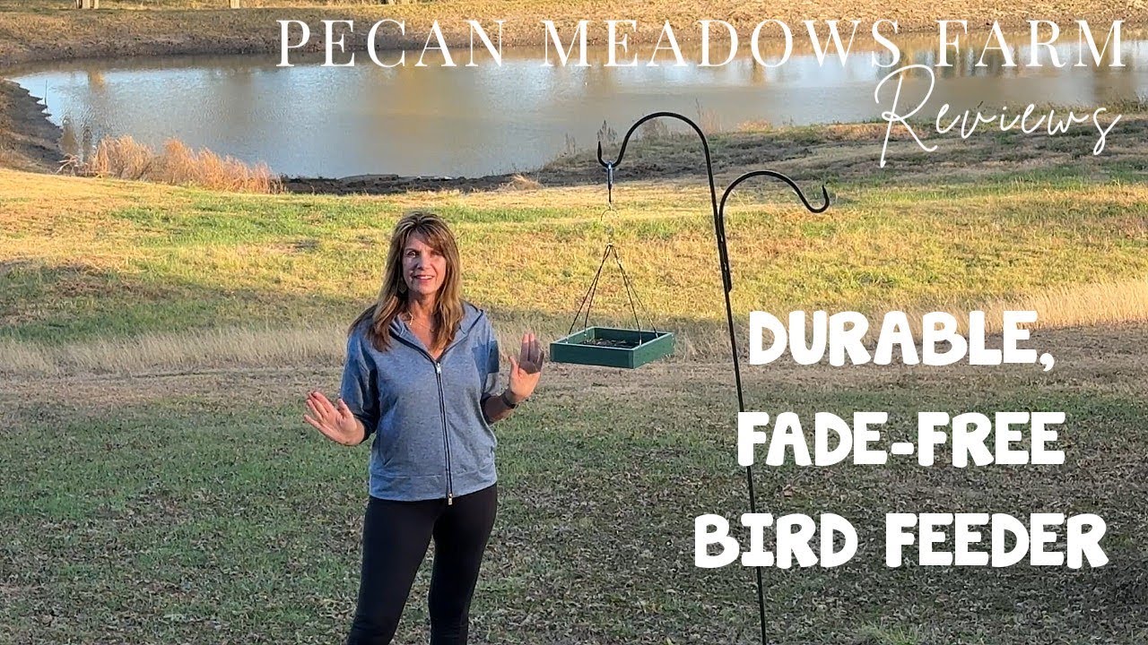 iBorn Platform Tray Bird Feeder