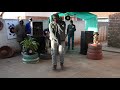 Vibration Taylor performing Monate Wateng