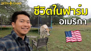 ใช้ชีวิตในฟาร์ม อเมริกา I ชีวิตชนบทในอเมริกา