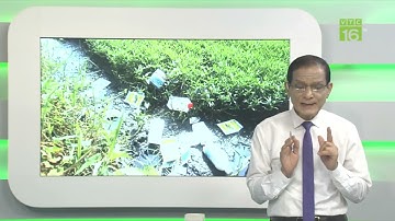 Sự nguy hiểm của việc tồn dư thuốc bảo vệ thực vật trong nông sản cũng như môi trường