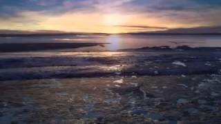 Divenire - Ludovico Einaudi