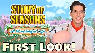 First Hour of Gameplay! Story of Seasons A Wonderful Life!!!