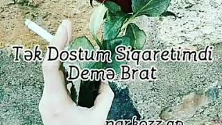 Whatsapp Statuslari Siqaret