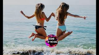 Summer Nights Deep House Mix 2018 [Sound of the Soul Selection]
