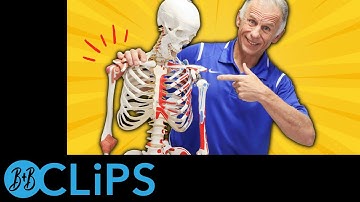 3 Best Rotator Cuff Exercises To STOP Shoulder Pain (B&B Clips)