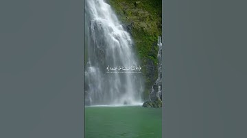 اكتب شيء تؤجر عليه ♥️ || القارئ محمد اللحيدان 🤍🎧