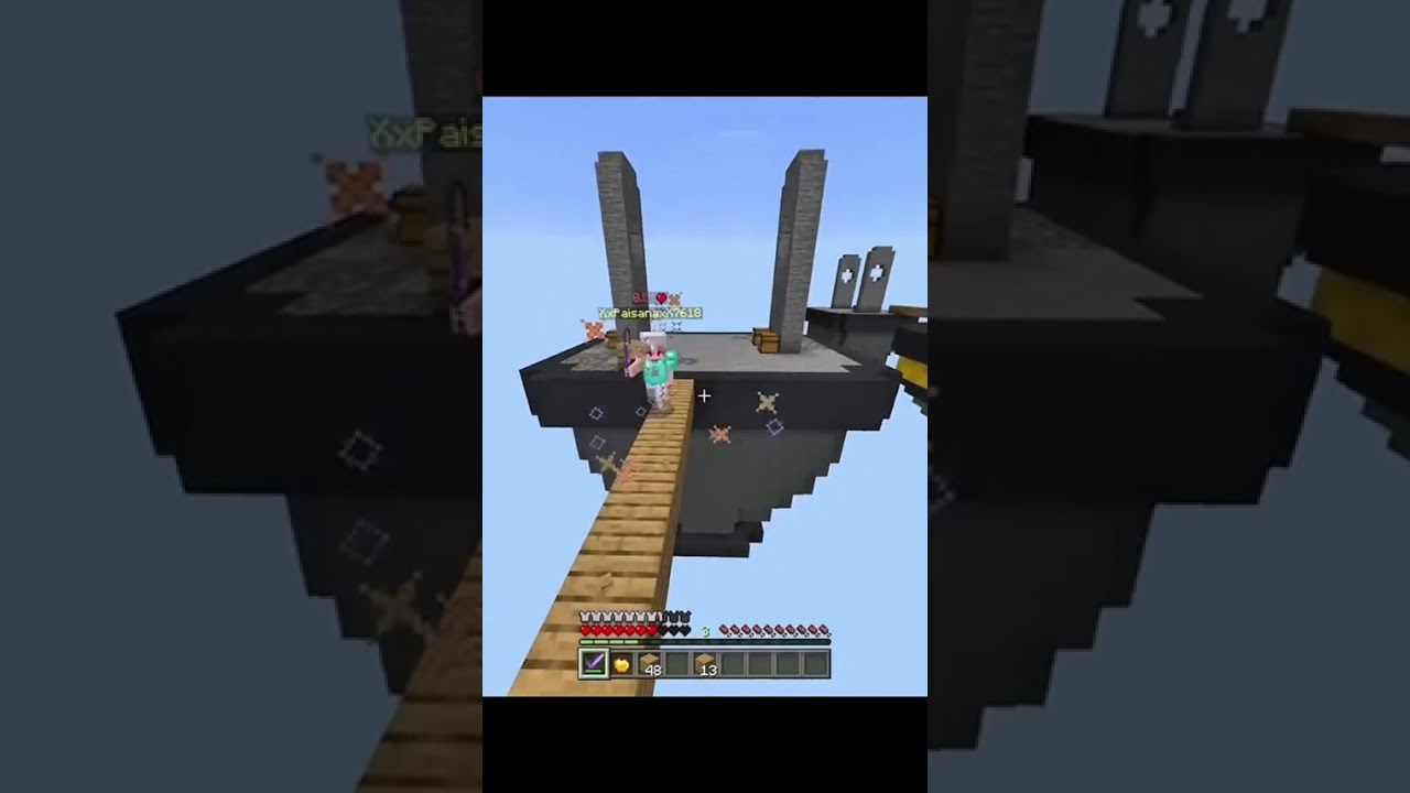 Minecraft videos randoms 