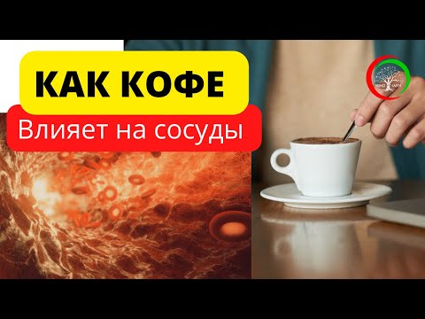 Как кофе влияет на сосуды и другие факты о кофе. Вся правда ☕️☕️☕️