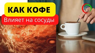 Как кофе влияет на сосуды и другие факты о кофе. Вся правда ☕️☕️☕️