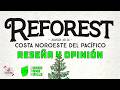 REFOREST🌲- ¿El nuevo Forest Shuffle? 😱 - Reseña y Opinión
