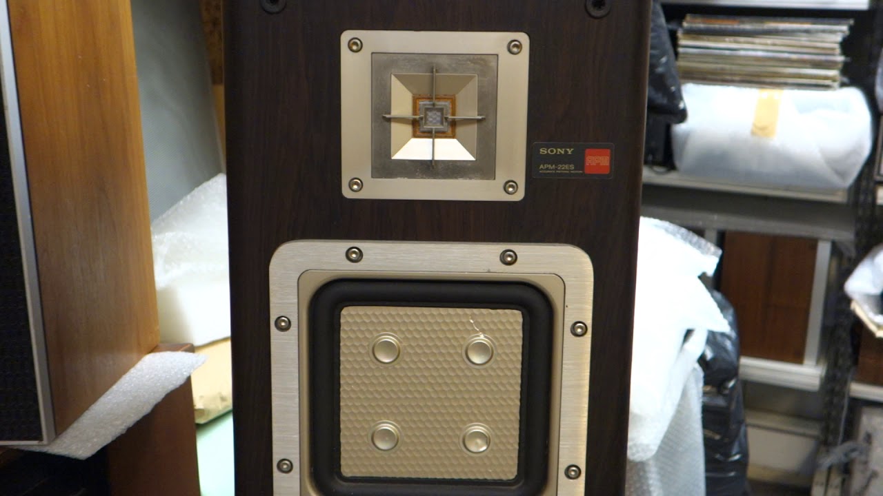 sony apm 790