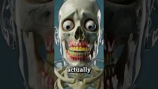 What will happen if u brush ur tears with this #viral #facts #famous #skeleton #brushup