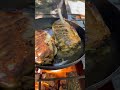 Рыбалка в Астрахани!Жарим карася на костре!Рыбалка рядом с домом !Снять дом на берегу в Астрахани.