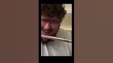 Thumbnail of Angry birds flute cover.