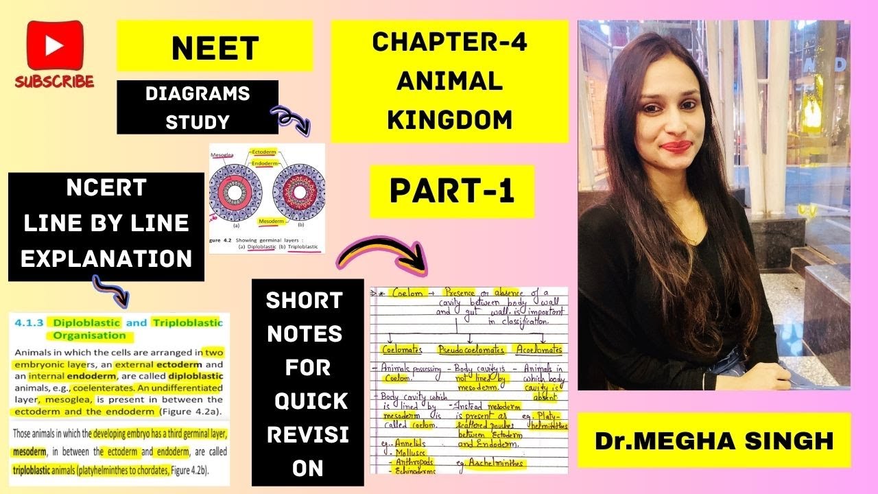NCERT Chapter 4 | Animal Kingdom | Line by Line explanation | Short ...