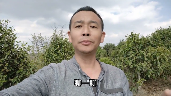 看昔归茶树状况令人心疼，干旱让茶农想哭茶商很无奈，茶友很紧张