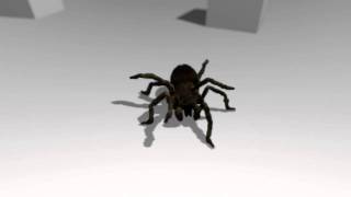 Blender: Animation tests from the next two spider parts.