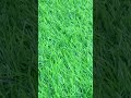 How to find sim ejector 😂😂