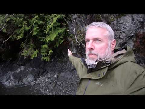 High Tide in Desolation Cove with Dave McIntyre