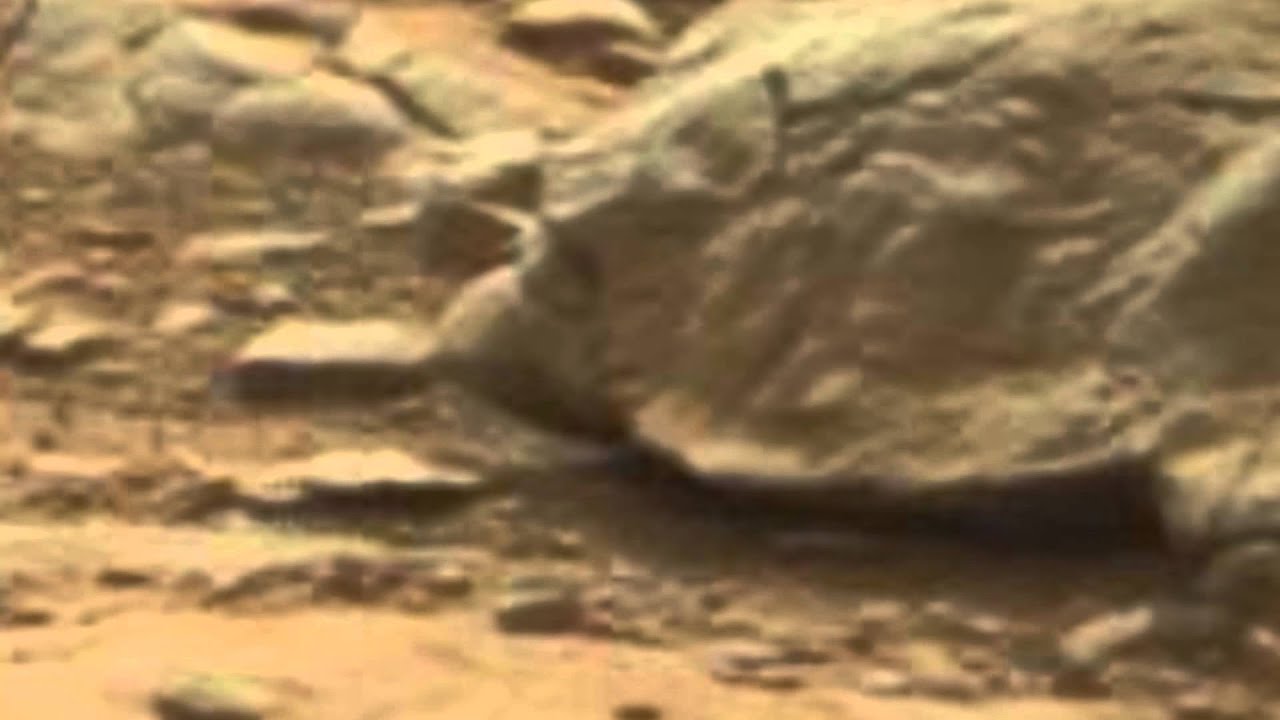 05 the DEAD Mars anomalies, fossils on Mars, YouTube