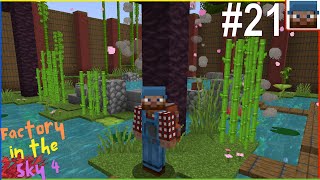 FitS4 #21 - Want a Soak in my Completed Hot Springs?