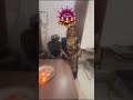 Brilliant Code Academy Wishes You a Happy Diwali !