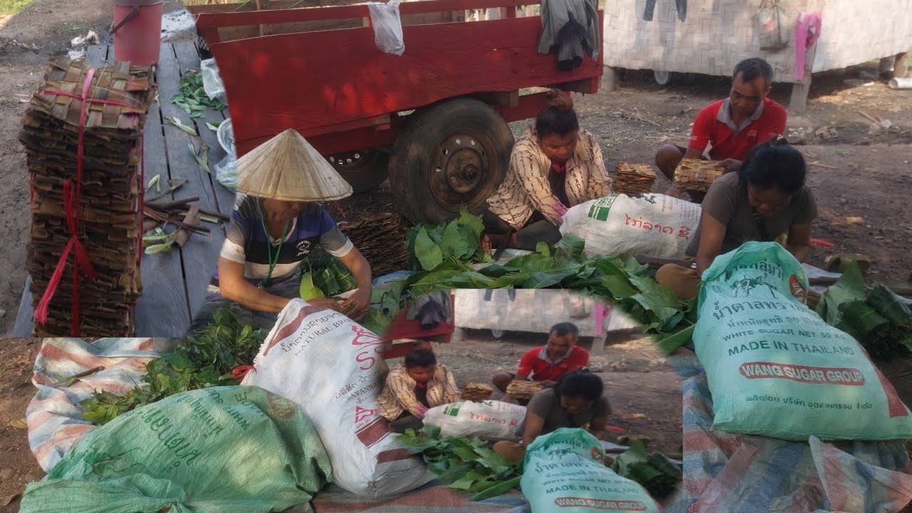 ทีมงานนี้ นอกจากเผาถ่านแล้ว ก็ไปหายานางขาย26 กุมภาพันธ์ ค.ศ. 2026