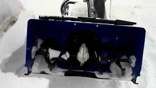 20170208 Strange SnowJoe Noise