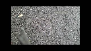 Barneys Musical Scrapbook Dvd Destruction