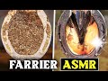 Farrier Asmr-Hoof Restoration-Oddly Satisfying