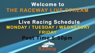 Live Racing in HD